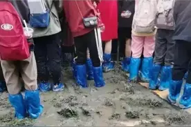 真的是绝了，华晨宇演唱会割韭菜引争议图片