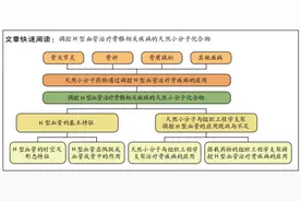 天然小分子化合物调控H型血管治疗骨骼相关疾病及在组织工程中的应用图片