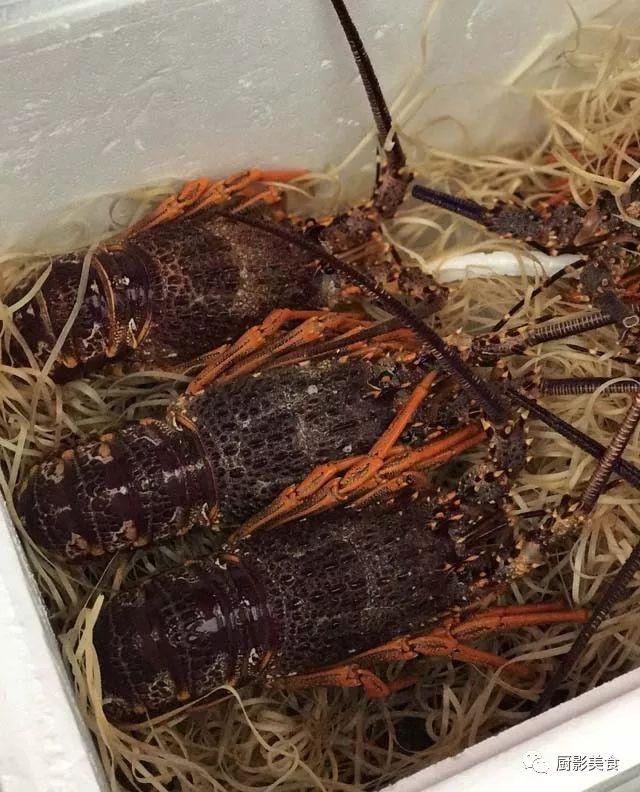 40头的花胶是几级 2025年花胶40头是什么意思?