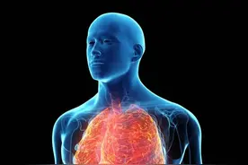 身体发＂炎＂了，这些抗＂炎＂食物一定要记得经常用！图片