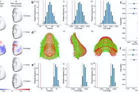 亚洲人、欧洲人为何长相不同？复旦、中科院团队最新成果揭示东亚面部性遗传进化机制图片