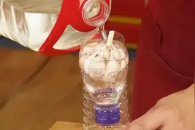 多吃大蒜能抗癌？黑蒜、紫皮蒜、白蒜，营养有区别吗？图片