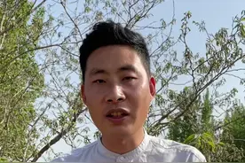 构树穗它是桑科植物构树的雄花序，颜色暗绿，可食用味道鲜美，有空中野菜之称。不知道大家有没有吃过呢？#构树 #构树穗 #大自然的馈赠 #春天的味道视频封面