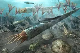 地球上第一只有性生物是雌性还是雄性？图片