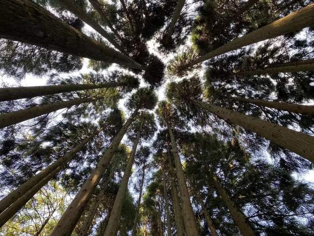 四川省民生研究会新媒体中心-官网