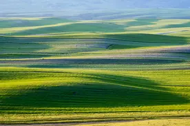 时评：集聚人才 贵在“拴心”——读《习近平同志在河北正定工作期间推出“人才九条”的实践与启示》有感图片