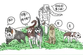 小狗到底能不能听懂你说话？图片