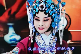 豫剧《新七品芝麻官》新看新感图片