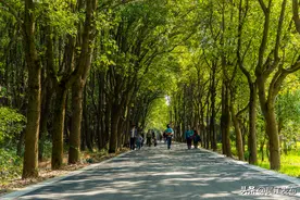 吴江：绘就人与自然和谐共生新图景图片