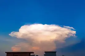 梦境中的蘑菇世界图片