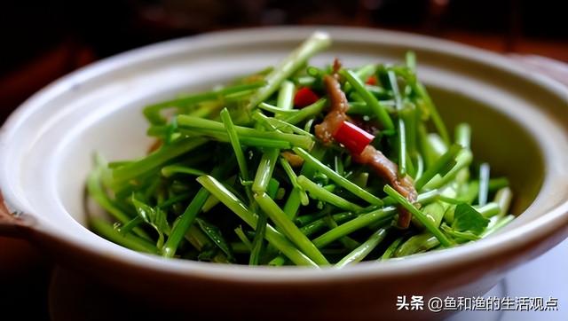 踏春必备“百草图”之三，身边那些有价值的野草，你能认识几种？