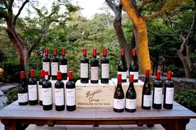 奔富的 BIN 编号 有什么含义？图片