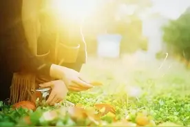 人品差的人，一开口都是这些话，不可深交图片