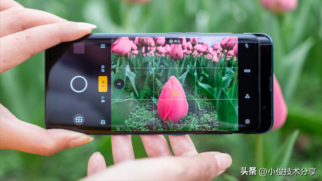 手机拍照时,记得打开这个开关,拍出来的照片清晰又唯美