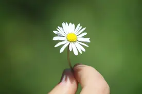 中年以后，这些人没必要再联系了，毫无意义！图片