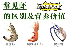 常见虾的区别及做法图片