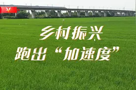 习近平四川行丨乡村振兴跑出“加速度”——走进太和镇永丰村图片