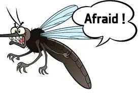 灭蚊小妙招：用音乐让蚊子“断子绝孙”图片