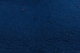 文案 | 如果是去见你 我一定会用跑的图片