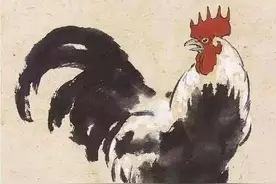 “鸡”是怎么被污名化的？图片