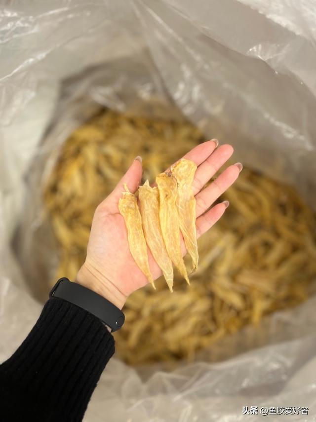 经常加班的人吃花胶的好处 经常吃花胶是否能去斑