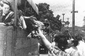 建国后持续30多年的“逃港潮”图片