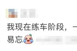 十句话搞定！科目三简单易上手的驾考攻略get图片