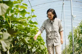 新农人石嫣的分享收获：做“小而美”的有机农场图片