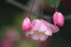 关于运动的励志句子70条经典语录大全图片