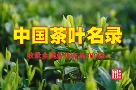【收藏】超完整的中国茶叶名录（收录全国各地名茶300款+）图片