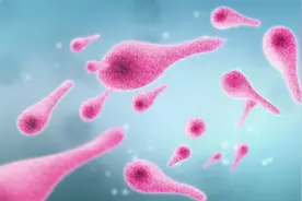 磕磕碰碰受伤了，这些情况才要去打针！图片