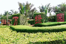 海口市的生态风景园林—万绿园图片