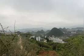 疫情哪也去不了，给团队编了个白酒知识百问百答，也请网友们指正图片