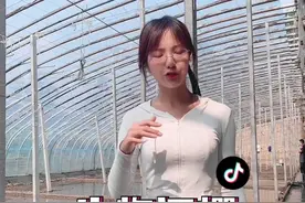#新农人计划2022 #来抖音学农技  到了夏天，人歇歇，棚也得歇歇，闷棚这几个步骤大家好好看看。视频封面