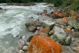 北京的摩托车牌图片