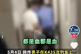 K435列车命案背后：“游荡的精神病患者”管理之困图片