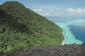 世上唯一能在海底奔跑捕鱼的男人，自废双耳求生存，他如何做到的图片