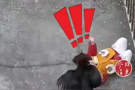 大公鸡袭击孙女，转眼就被端上餐桌，爷爷的做法“暖胃又暖心”图片