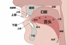 晨露艺术 || 什么是声母？图片