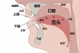 晨露艺术 || 什么是声母？图片