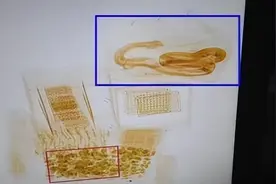 高铁上行李包窜出黑蛇咬伤人，蛇咋来的？蛇能躲过安检仪吗？图片