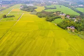 透视美国、日本农业模式，探索中国特色农业之路图片