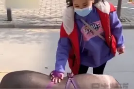 女子网购迷你小香猪，半年后意识到不对：这是上当了呀图片