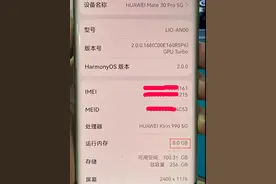 华为Mate30升级12G大内存，400元成本，再用三年不是梦图片