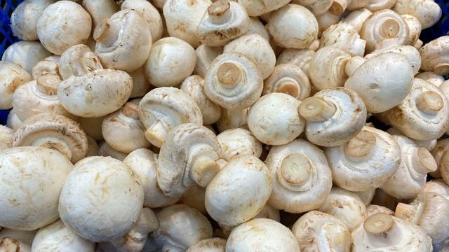 口蘑,口蘑里面黑色能吃吗