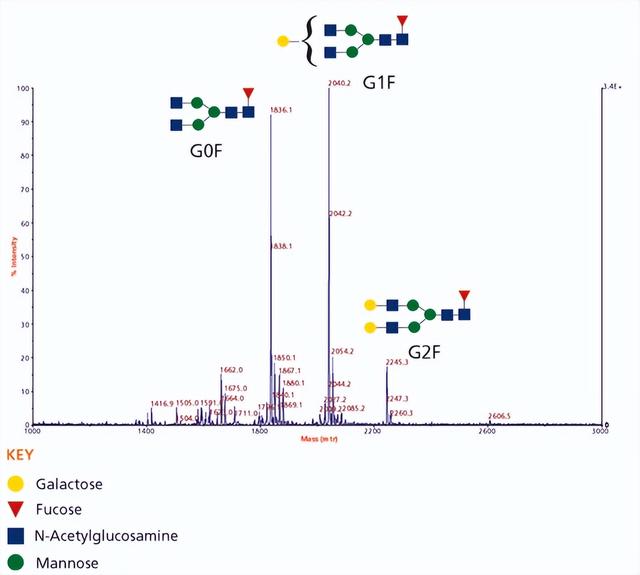 单克隆抗体的表征分析有哪些？