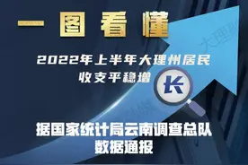 一图看懂！2022年上半年大理人收入多少？花了多少？图片