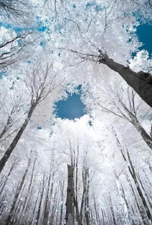 天地之中话中用一一人生的意义是学习修行