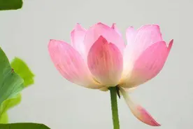 一个人开始走大运，会有的征兆图片