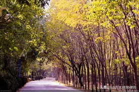 刑事案件中如何申请重新鉴定or补充鉴定？图片